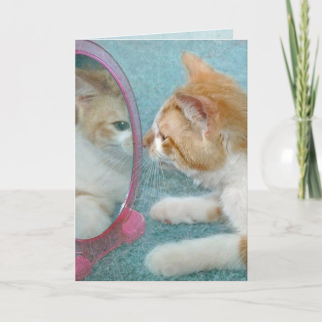 Carte Tabby Cat Anniversaire en miroir (Devant)