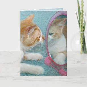 Carte tabby cat dans le miroir pour avoir plus d'anniver