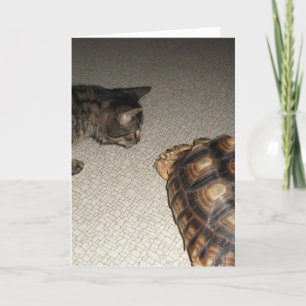 Carte Tabby Cat et Sulcata Tortoise