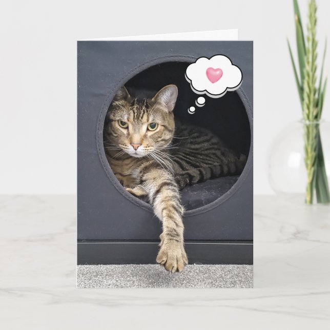 Carte Tabby Cat In Box For Thpense of You (Devant)