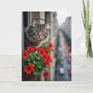Carte Tabby Chat Anniversaire Dans La Fenêtre De L'Appar