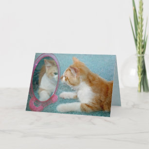 Carte Tabby Chat Anniversaire Obtenir un vieil Humour