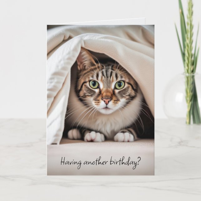 Carte Tabby Chat Anniversaire Obtenir un vieil Humour (Devant)