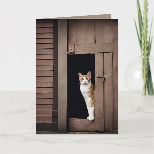 Carte Tabby Chat d'anniversaire à Shed Doorway (Devant)