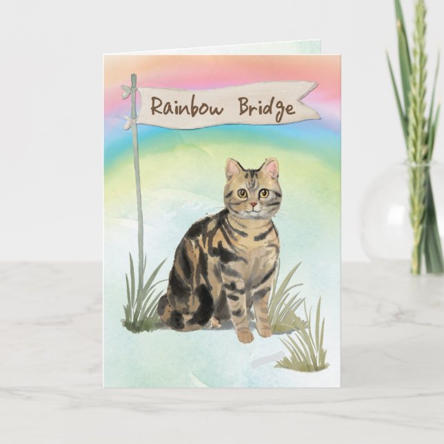 Carte Tabby Chat Pet Sympathie sur Rainbow Bridge (Devant)