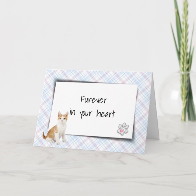 Carte Tabby Chat Sur Plaid Pet Perdre Sympathie (Devant)