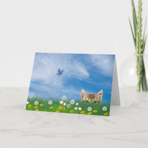 Carte Tabby chaton dans l'herbe humour d'anniversaire