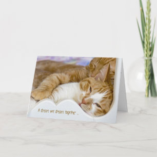 Carte Tabby Chats Anniversaire En Lit