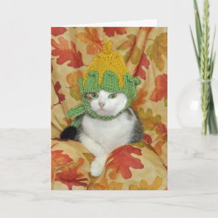 Carte Tabby et chat blanc Thanksgiving ou Fall card