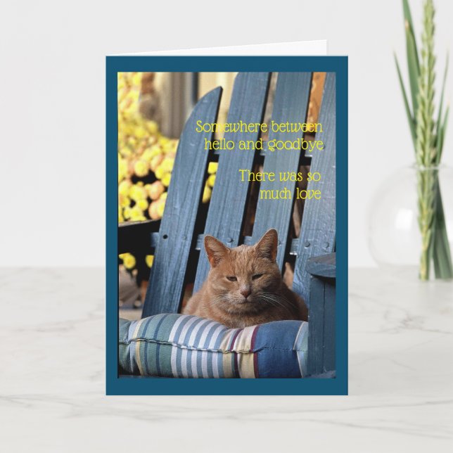 Carte Tabby orange Chat sur fauteuil bleu (Devant)