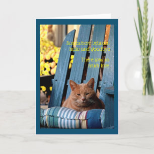 Carte Tabby orange Chat sur fauteuil bleu 