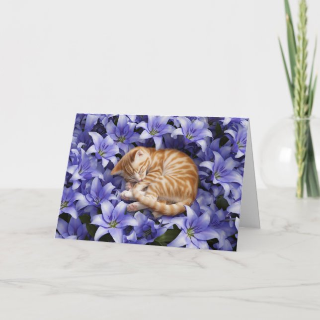 Carte Tabby orange et lentilles (Devant)
