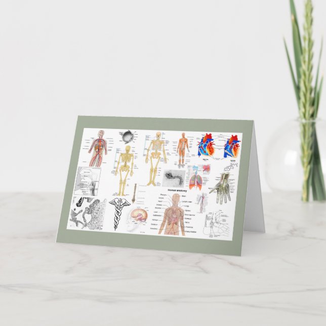 Carte Tableaux médicaux en couleur (Devant)