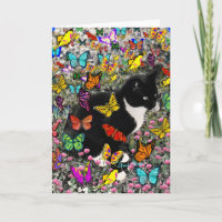 Taches de rousseur dans les papillons - chat de