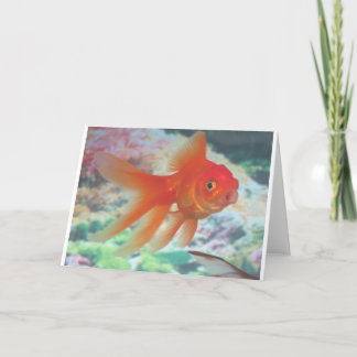 Carte Talking Goldfish