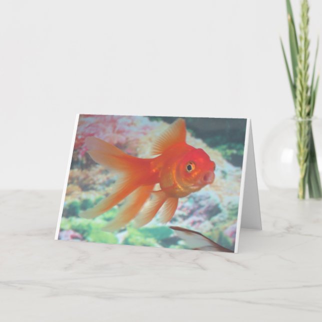 Carte Talking Goldfish (Devant)