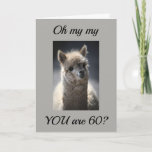Carte **TALKING LLAMA**  GREETING" FOR "60th" BIRTHDAY<br><div class="desc">This absoulutly funny AND adorable horse is just waiting to put a huge smile on someone's face today. Let a special person in your life know you are thinking of them today. Great GROUP card,  also.</div>