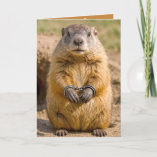 Carte Tamarin fou de la Saint-Valentin menotté