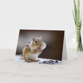 Carte Tamia avec la pleine photo de joues