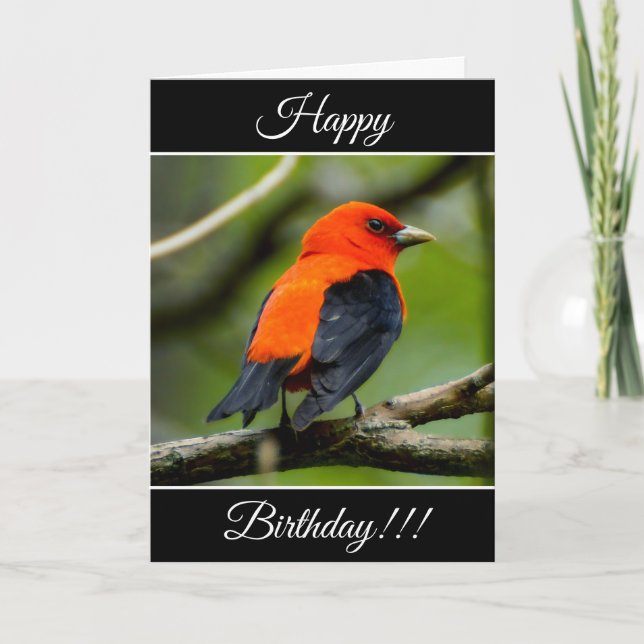 Carte Tanager Scarlet Anniversaire Personnalisée (Devant)