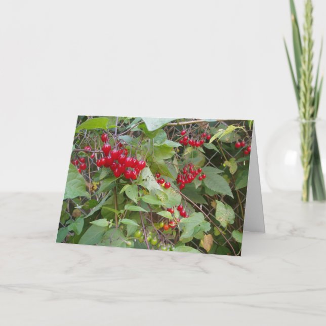Carte "Tangled Vine" (Devant)