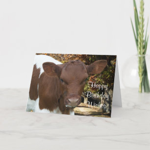 Carte Tansy-personnaliser de veau de Pinzgauer tout