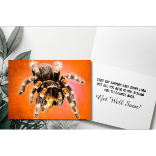 Carte Tarantula Spider Se Bien