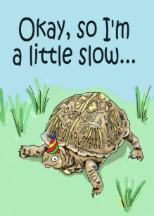 Cartes Drole Tortue D Anniversaire Zazzle Fr