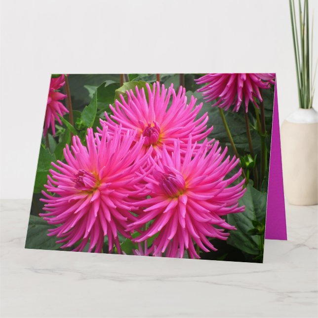 Carte Tarjeta - Feliz Cumpleaños - Las Dalias Rosas (Devant)