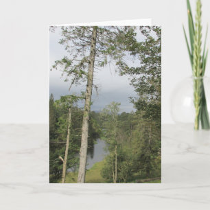 Carte Tarn Hows Arbres