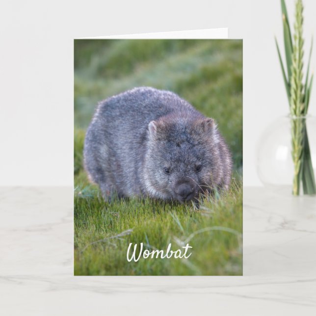 Carte Tasmanie animal cute wombat personnalisé Australie (Devant)