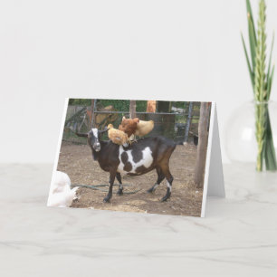 Carte Taxi de chèvre