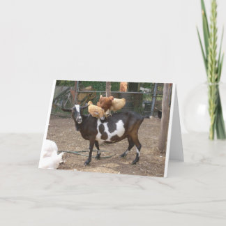 Carte Taxi de chèvre