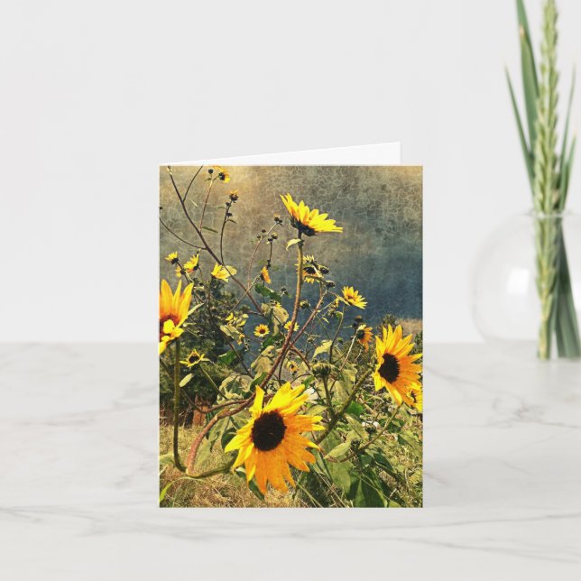 Carte Te Manquer Tes Tournesols Texturés Nuages De Mouss (Devant)