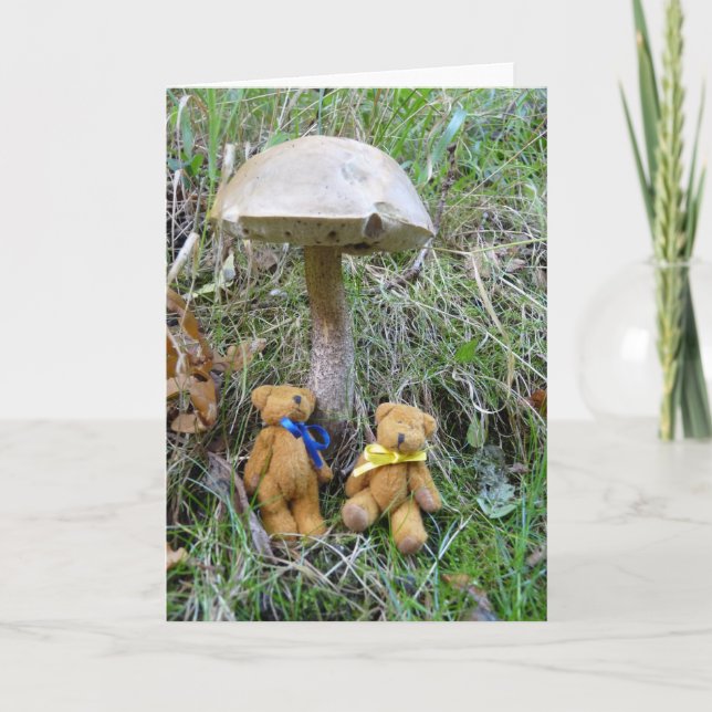 Carte "Tedd and Teena in Happy Valley" (Devant)