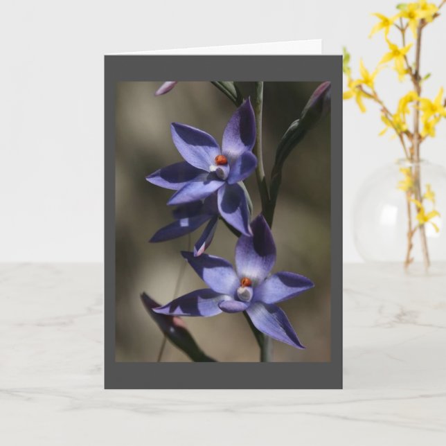 CARTE TELLEMENT « DÉSOLÉ » POUR « VOTRE PERTE » (Fleur jaune)