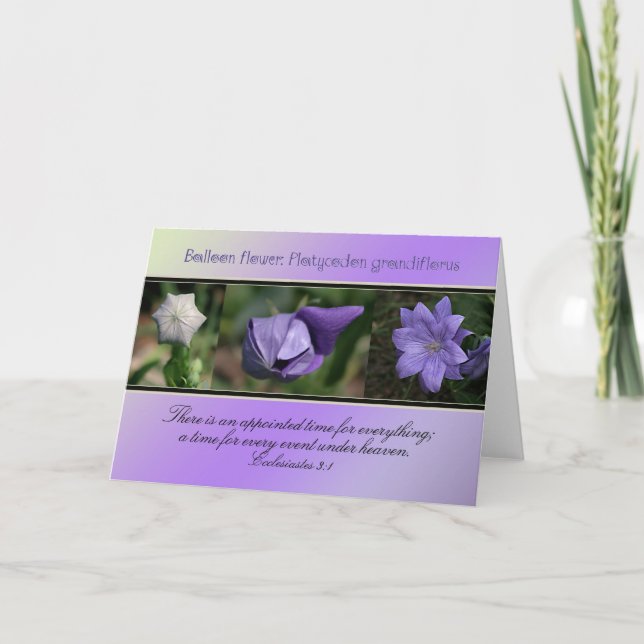 Carte Temps alloué à tout (Devant)