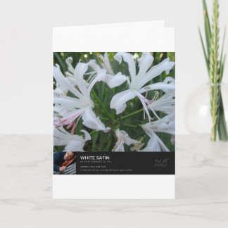 Carte Temps précieux