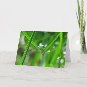 Carte Tenir les mains, Dessiner la poésie de la nature