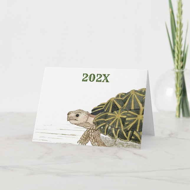 Carte Tente Tortoise | Turtle Beach Sea Animal Jigsaw Ki (Devant)