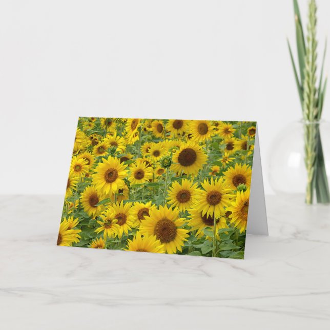 Carte Terrain de tournesol d'anniversaire (Devant)