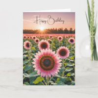 Terrain De Tournesol Rose Pour Anniversaire