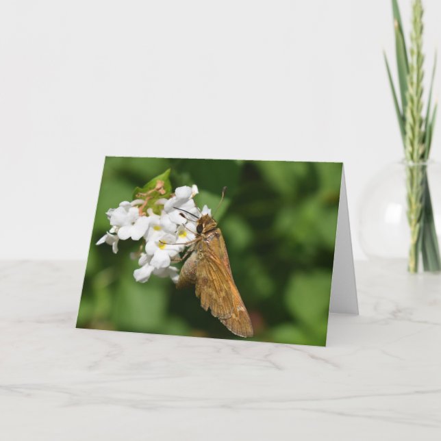 Carte Terre verte (Devant)