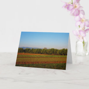 Carte Terres agricoles en Valencia, Espagne