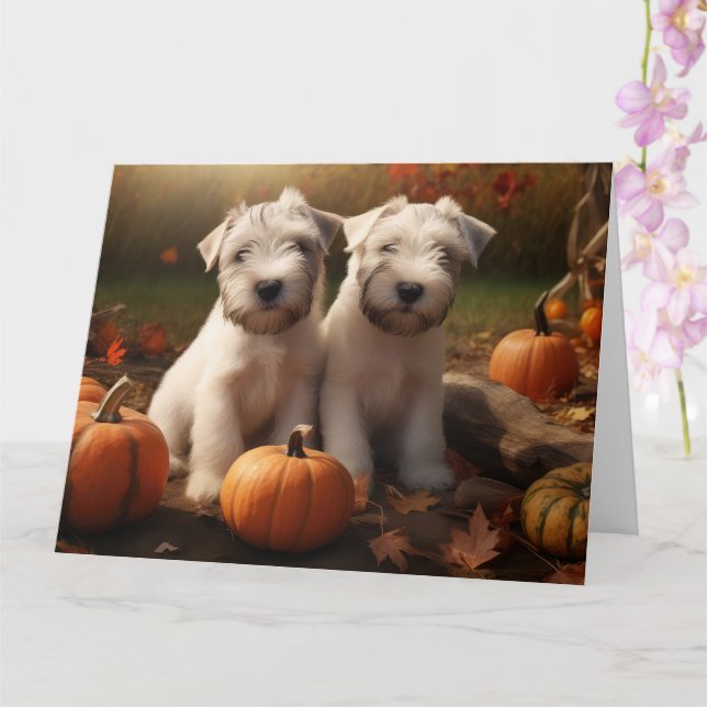 Carte Terrier Irlandais Puppy Automne Délice Citrouille (Orchidée)