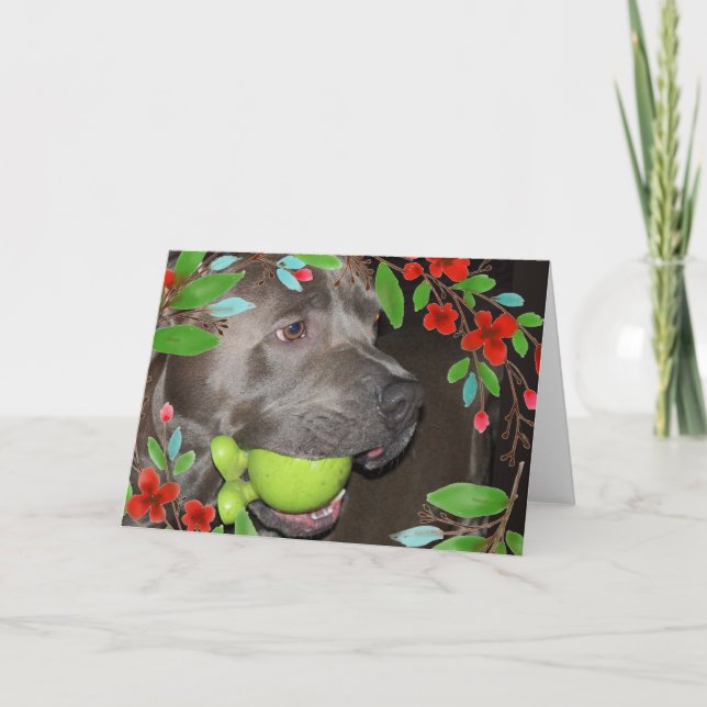 Carte Terrier Pitbull mignon avec cadre de fleurs rouges (Devant)