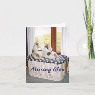 Carte Terriers de Fox à deux fils dans la fenêtre