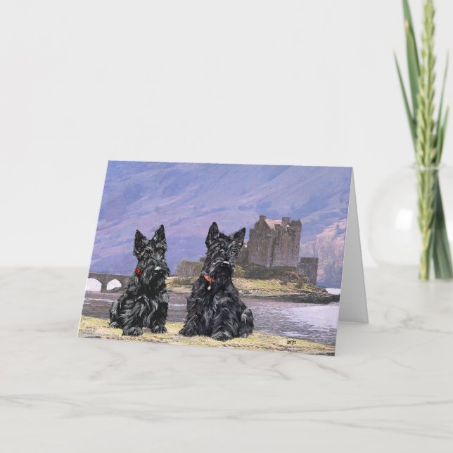 Carte Térriers écossais au château d'Eilean Donan (Devant)