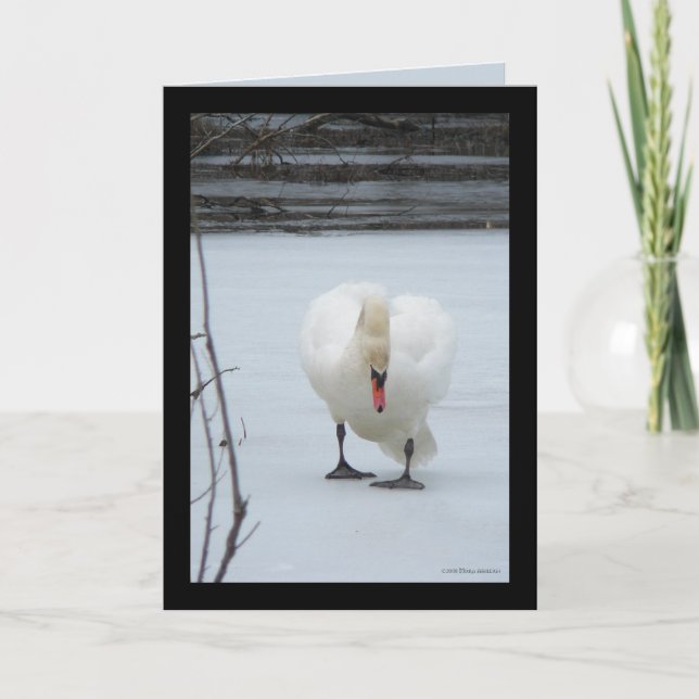 Carte Territoire de Swan (Devant)