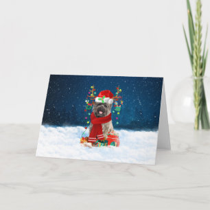 Carte Tervueren Cairn Terrier dans la neige avec des cad